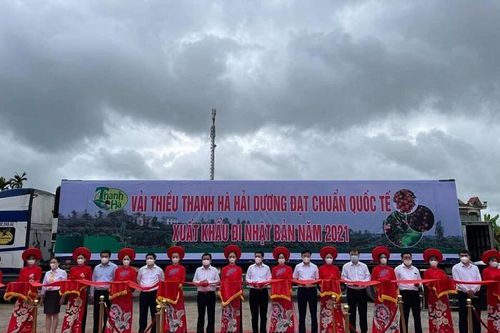 Xuất khẩu lô vải thiều Thanh Hà đầu tiên năm 2021