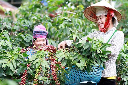 Xây dựng, bảo vệ thương hiệu cộng đồng