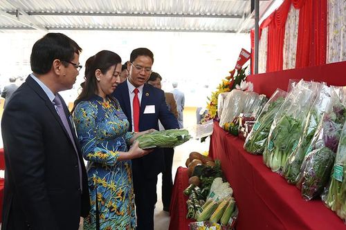 Yên Dũng hiện thực hóa mong ước của Người