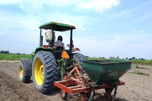 Nghịch lý giá mua tăng - diện tích mía vẫn giảm - Bài 2: Cần tiếp sức từ các chính sách phù hợp