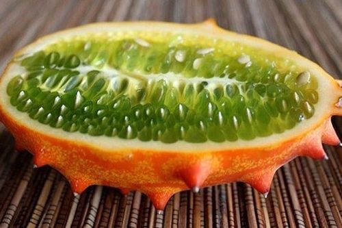 Điều kỳ diệu ẩn sau vẻ ngoài chi chít gai của loài dưa leo lạ