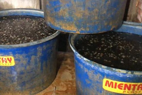 Kinh hãi hàng tấn thịt ốc ngâm hóa chất chuẩn bị tuồn ra thị trường tiêu thụ