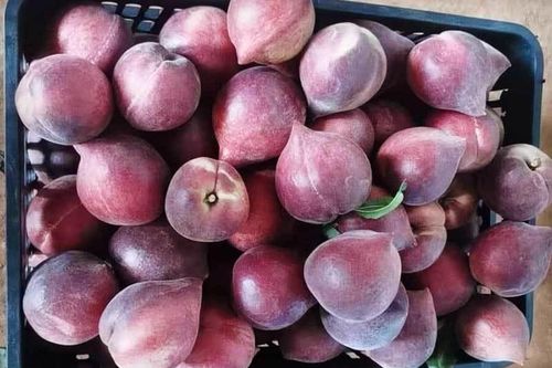 Đào lạ đỏ thẫm từ Trung Quốc tràn về chợ Việt