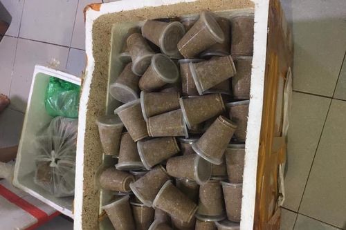 Vào mùa nắng nóng, cua đồng xay sẵn giá rẻ đáng ngờ