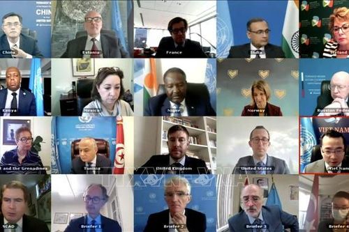 Việt Nam kêu gọi Libya tuân thủ lệnh ngừng bắn