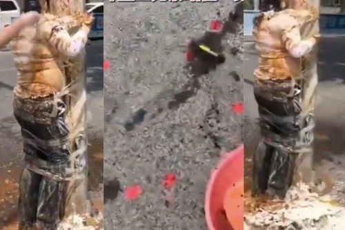 Chú rể bị trói vào gốc cây, xịt xi đánh giày và mù tạt giữa phố