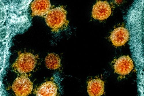 Vaccine của Pfizer hoạt động như thế nào?