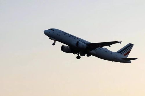 Máy bay bay bằng... dầu ăn đã qua sử dụng
