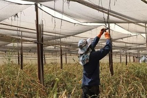 Xung đột Israel-Palestine: Tu nghiệp sinh Việt Nam cùng nhau vượt khó