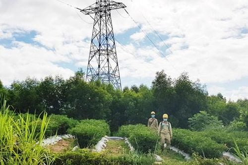 EVNNPT đảm bảo vận hành an toàn lưới điện truyền tải phục vụ bầu cử Đại biểu Quốc hội và HĐND các cấp