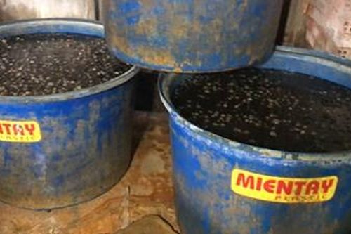 Hãi hùng phát hiện 2,2 tấn thịt ốc ngâm hóa chất ở TP HCM