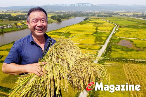 Tích tụ ruộng đất - từ chuyện những người 'mê ruộng' và khát vọng nền nông nghiệp hiện đại (bài 3): Trồng lúa, 'gọi' rươi và khát vọng xuất khẩu sản vật bên bờ sông La