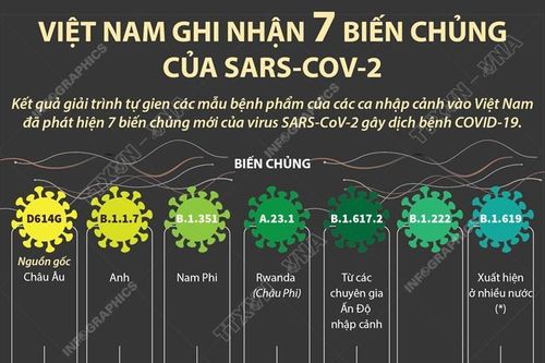 Việt Nam ghi nhận 7 biến chủng của SARS-CoV-2