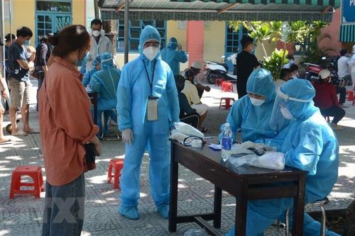 Đà Nẵng xét nghiệm SARS-CoV-2 tất cả các gia đình trên toàn thành phố