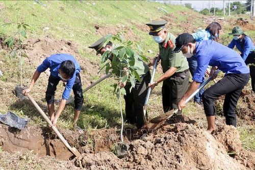 Cần Thơ: Phát động 'Tết trồng cây đời đời nhớ ơn Bác Hồ'