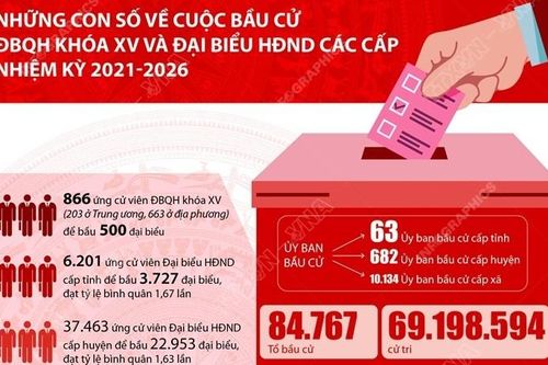 Những con số về cuộc bầu cử ĐBQH và đại biểu HĐND các cấp nhiệm kỳ 2021-2026