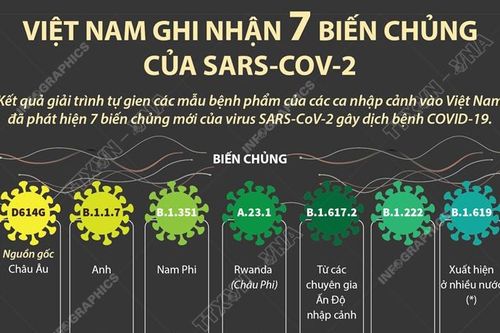 Việt Nam ghi nhận 7 biến chủng của SARS-CoV-2