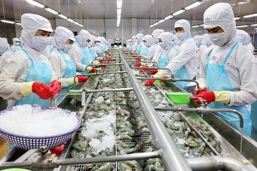 Thành lập hội đồng cố vấn về chứng nhận bền vững của VASEP