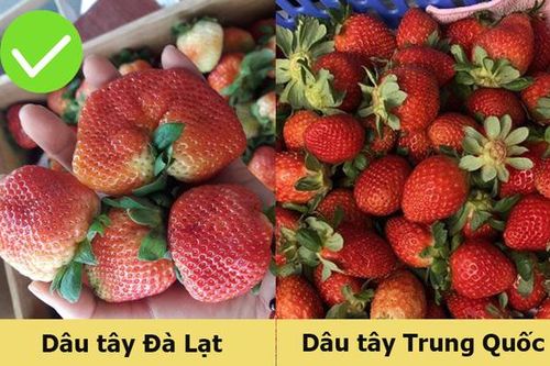 5 cách đơn giản giúp bạn chọn mua được dâu tây Đà Lạt 'chuẩn xịn'