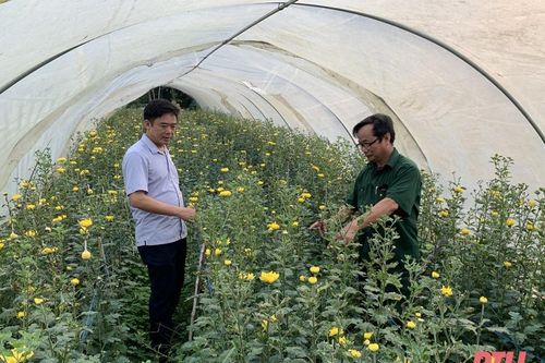 Nâng cao hiệu quả phối hợp đầu tư nguồn vốn phát triển nông nghiệp, nông thôn