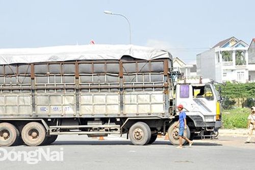 Tiếp tục xử lý nghiêm xe vi phạm tải trọng