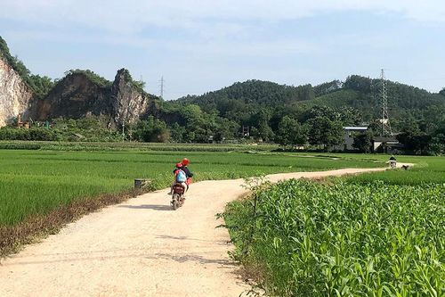 Hoàn thiện hệ thống đường giao thông nội đồng