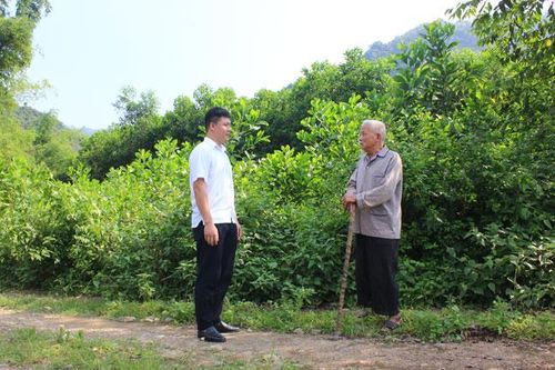Phát huy truyền thống của Mặt trận Việt Minh
