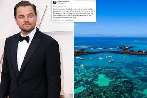 Leonardo DiCaprio 'ra mặt' sau vụ di sản Darwin's Arch sụp đổ