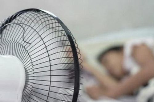 Những sai lầm khi bật quạt điện mùa hè mà người Việt cần bỏ ngay kẻo cảm lạnh, hại tim và thậm chí gây tai biến