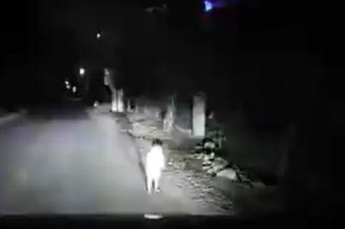 Tài xế kể về nguyên nhân hi hữu khiến bé 2 tuổi lang thang một mình giữa đường lúc 1 giờ sáng