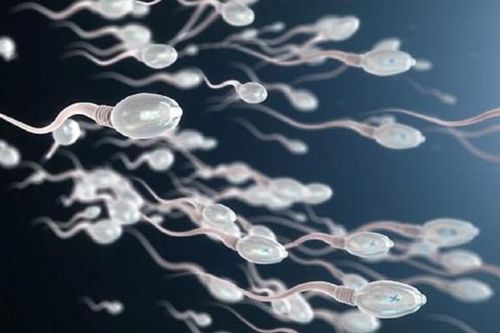 Khắc phục chứng 'chưa đi đến chợ đã tiêu hết tiền…'