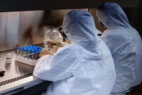 Viện Pasteur Nha Trang sẵn sàng chống dịch cao nhất