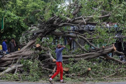 Hơn 90 người Ấn Độ thiệt mạng vì siêu bão 'quái vật' Tauktae
