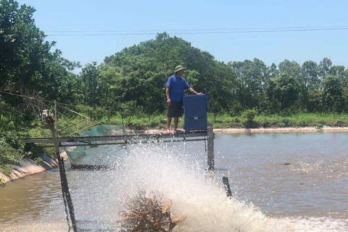 Ngành thủy sản tạo đột phá nhờ công nghệ