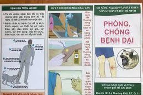 Triển khai đồng bộ giải pháp phòng, chống bệnh dại ở động vật
