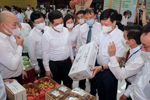 Vải thiều nỗ lực vượt dịch xuất ngoại