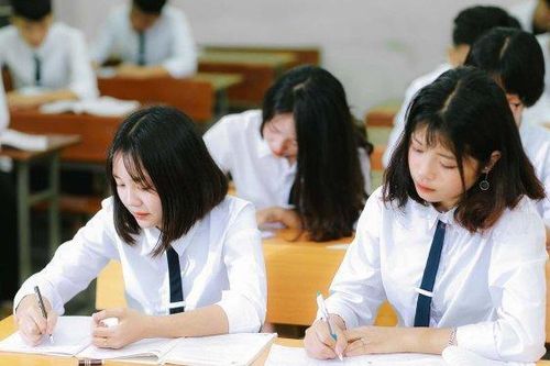 TP HCM đề xuất cho học sinh trường chuyên thi tín chỉ chương trình đại học
