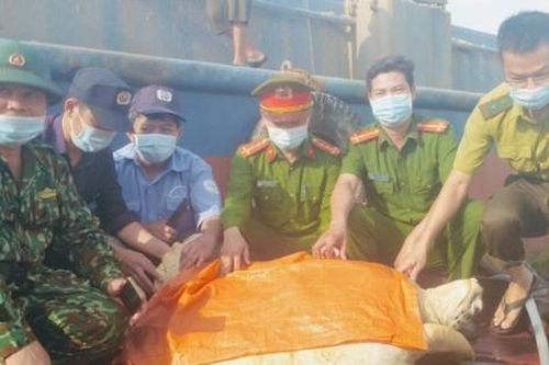 Thả cá thể rùa quý hiếm nặng hơn 80kg về biển