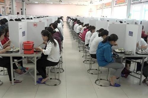 Nguy cơ đứt mạch sản xuất vì COVID-19