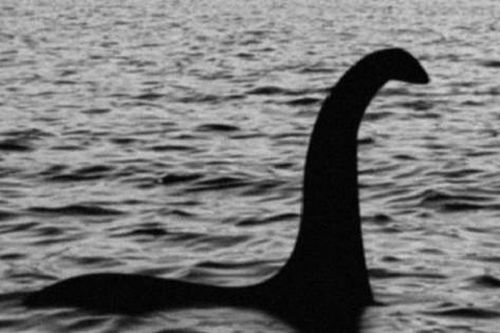 Giả thiết sốc: Chiếc cổ dài của quái vật Loch Ness huyền thoại chỉ là dương vật cá voi