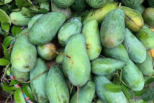 Tin buồn đầu mùa: Xoài Việt dội chợ, giá rẻ hơn rau