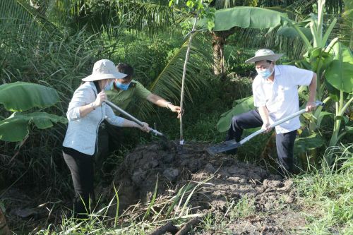 TP. Cần Thơ trồng 1 triệu cây xanh hưởng ứng phong trào 'Tết trồng cây'