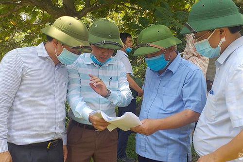 Lãnh đạo ngành Nông nghiệp và PTNT kiểm tra công tác tưới phục vụ sản xuất hè thu