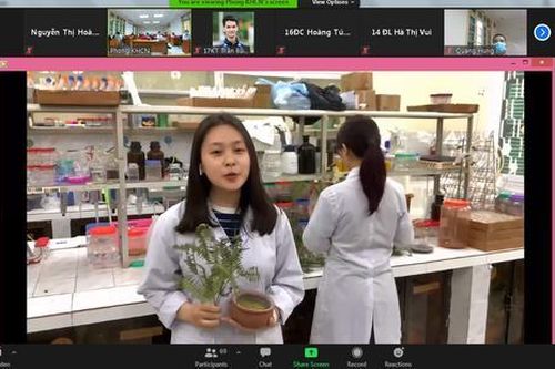 Cho phép các trường đại học đánh giá học phần trực tuyến