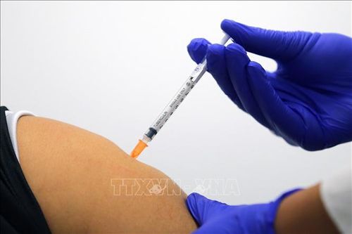 WTO nhận định chỉ từ bỏ quyền sở hữu trí tuệ đối với vaccine là không đủ