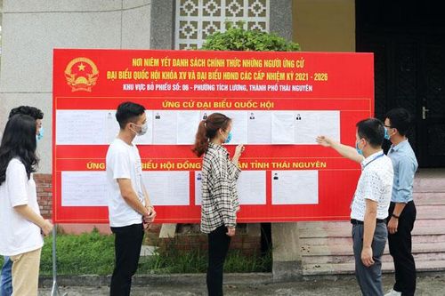 Sinh viên náo nức đón ngày bầu cử