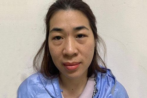 Tự vẽ dự án lừa đảo hàng tỷ đồng