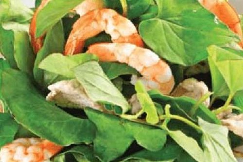 Mùa hè ăn rau diếp cá giải nhiệt nhất định phải biết điều này nếu không sẽ rước họa vào thân