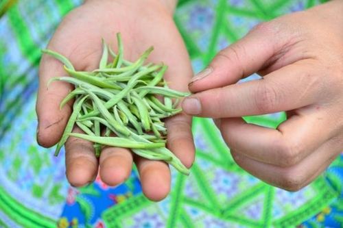 Yêu trà Việt không chỉ trong ngày Trà thế giới 21 tháng 5