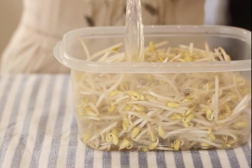 Mẹo bảo quản tỏi và các nguyên liệu nấu ăn tươi lâu nhất